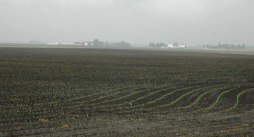 Looking Back at Corn Planting Progress and Fieldwork Day Records: 1996 -2019