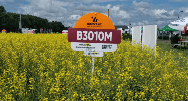 CORTEVA AGRISCIENCE SHOWCASES LIBERTYLINK CANOLA HYBRIDS AT AG IN MOTION