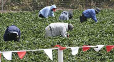 Ag needs skilled workers