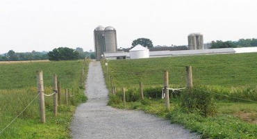 Soil Fertility for Pasture or Hay Renovation or Establishment