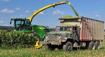 Monitoring Corn Silage for Dry Down