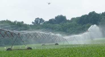 Irrigation uniformity check: Taco Bell or eye in the sky?