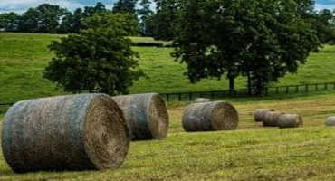 My first cutting is just ‘cow hay’ – now what?