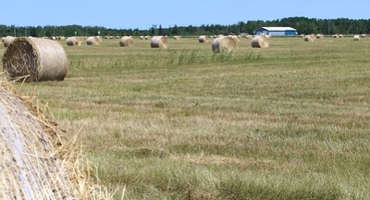 Good hay crop in Michigan’s eastern Upper Peninsula