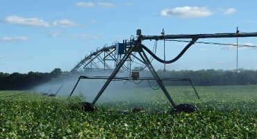 Corn and soybeans will be competing for irrigation this year