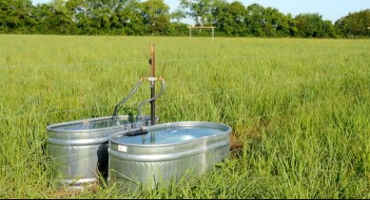 Keeping It Clean: Livestock Water Tank Maintenance