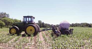 Fertilizer use on the rise?