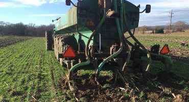 Applying manure in late summer or early fall? Try cover crops