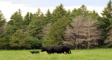 Forage Resources Available to S.D. Farmers and Ranchers