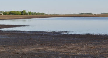 Planning fall fertilizer following prevented planting situations