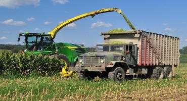 Corn Silage Dry Down Update: Week of August 27