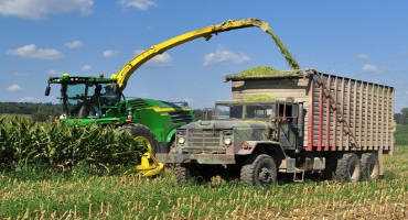 Corn Silage Dry Down Update: Week of September 2