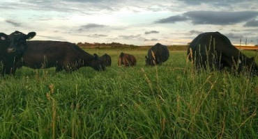 Changes to Grazing Management in Late Summer and Early Fall