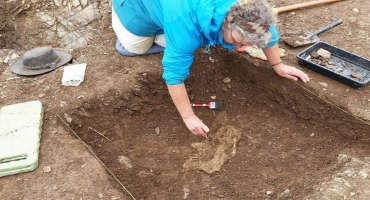 Discovery of rare Roman cattle bones sheds new light on ancient farming