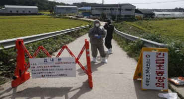 South Korea Reports More Suspected Swine Fever Cases