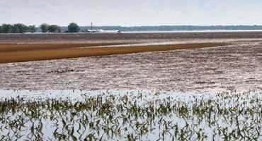 Weather Challenges Still Plague Missouri Farmers