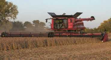 Yield monitor calibration for fall harvest