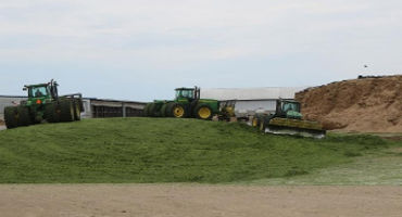 Harvesting Silage on a Wet Year: Moisture is Critical