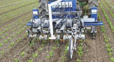 Automated Weeders are Attracting More Interest: Steve Fennimore Explains