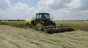 Cereal Cover Crop Response to Nitrogen Fertilizer