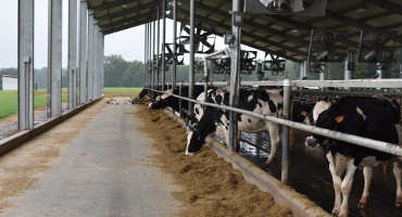 Clemson University’s Lamaster Dairy Employs Latest Robotic Technology