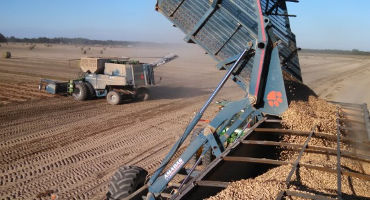 Clemson experts say statewide drought will result in lower crop yields