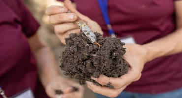 5 tips for soil health test sampling