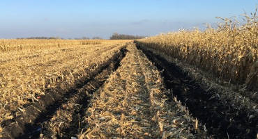 Soil compaction and ruts: What can you do?