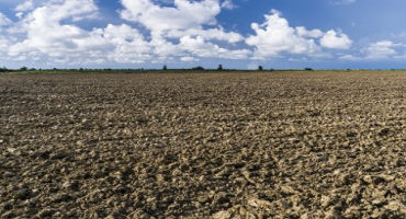 Soil health at risk on fallow fields