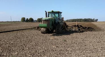 Surface Application of Manure to Newly Planted Wheat Fields
