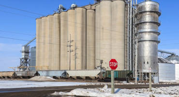 Crop Quality Concerns, Minimal Farmer Selling Drive U.S. Spring Wheat Export Prices