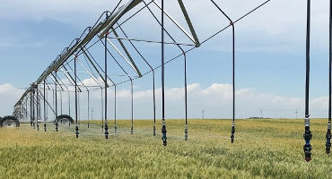 How irrigation management impacts nitrate leaching and groundwater quality