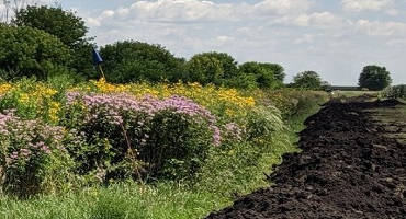 Riparian Buffers Can Make Good Pollinator Habitat