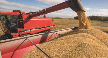 National Corn Harvest Struggles Just Past Half Done- Soybeans Hit Three Fourths Mark at the Start of November