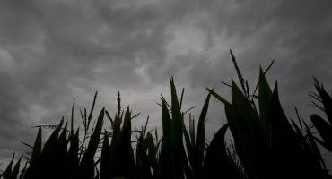 Corn and Clouds: “…from both sides now…”