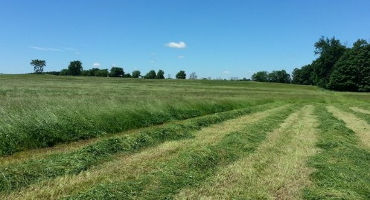 Recommendations for selecting hay and pasture forages for Michigan