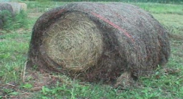 Your Hay Storage Impacts Quality and Quanity