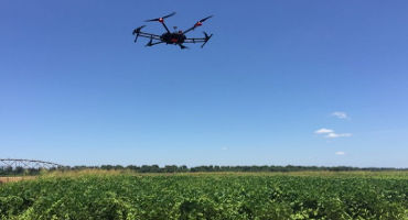 More advanced remote-sensing technology needed for weed detection, management