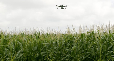 Agriculture’s big data keeps getting bigger; needs home to make greater impacts