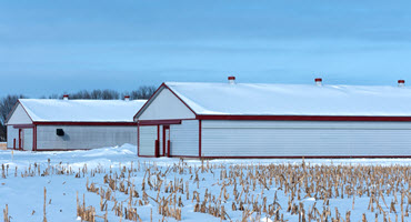 Managing swine barns through winter