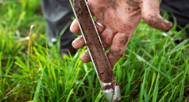 Organic crop practices affect long-term soil health