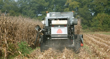 Bumper corn crop predicted for 2020: Farmers learn growing strategies during Clemson Extension’s Corn and Soybean Growers Meeting