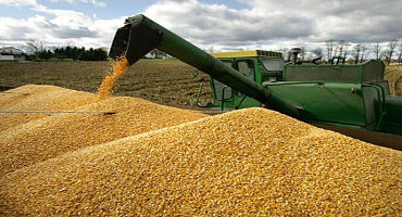 Corn Growers Believe EPA Takes Reasonable Approach in Atrazine Decision