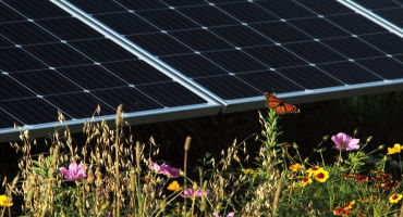 The Evolution of Rural Solar: from Panel Monocrops to Multiple Land Uses