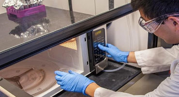 Microwaving sewage waste may make it safe to use as fertilizer on crops