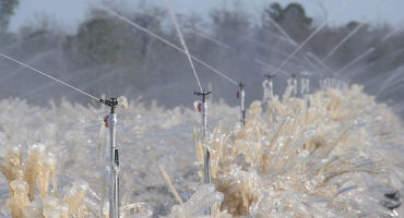 UGA climate expert shares production strategies for spring weather