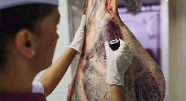 Gov’t funding for provincial abattoirs 
