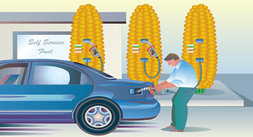 USDA sets biofuel goals
