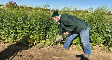 Choosing cover crops: Think like a plant!