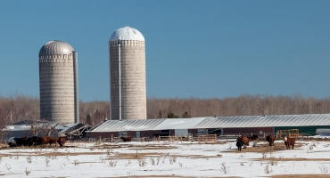 With Less Cash Coming Into Farms, Wisconsin Agriculture Experts Worry About Financial Resilience